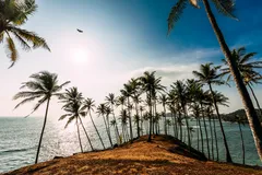 http://www.bigtravelhub.com/ru/lk/articles/SriLankaObzor
