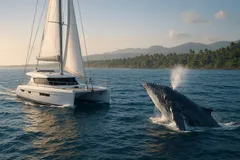🐋 Наблюдение за китами
