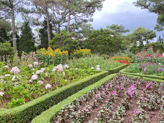Da Lat Day Trip from Nha Trang: Main Highlights — photo 1