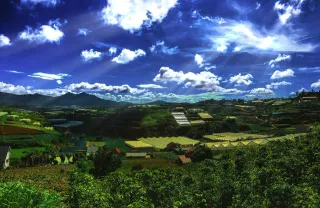 Da Lat Day Trip from Nha Trang: Main Highlights — photo 8