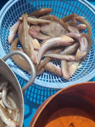 Sea Fishing in Nha Trang: Top Experiences — photo 8