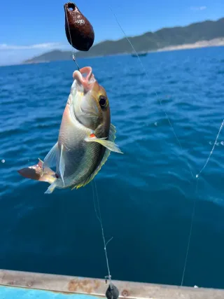 Sea Fishing in Nha Trang: Top Experiences — photo 2