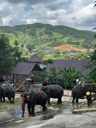 Da Lat Day Trip from Nha Trang: Main Highlights — photo 7