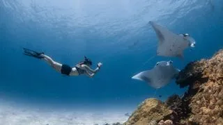 Отель Four Seasons Maldives